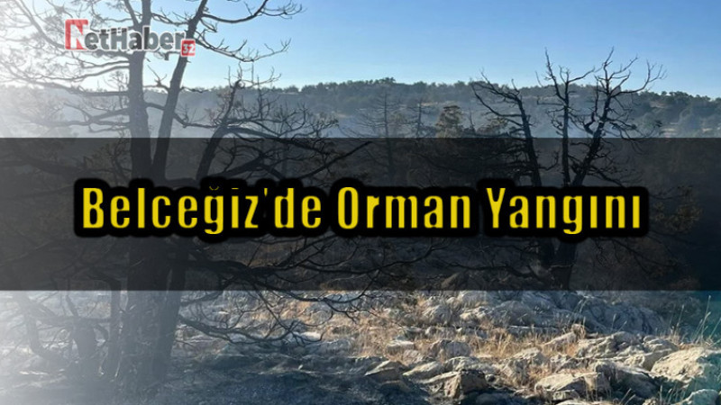 Belceğiz’de Orman Yangını