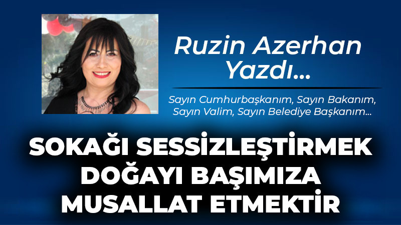 SOKAĞI SESSİZLEŞTİRMEK, DOĞAYI BAŞIMIZA MUSALLAT ETMEKTİR