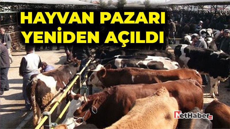 Hayvan Pazarı Yeniden Açıldı: Aşılama Yüzde 99’u Aştı