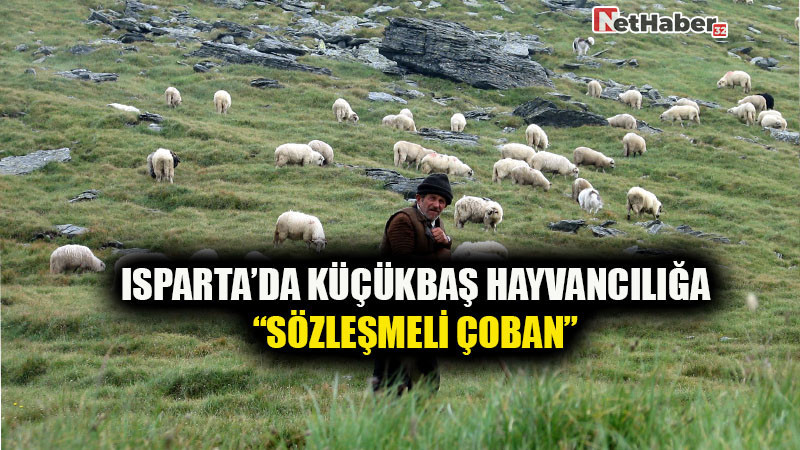 Isparta’da Küçükbaş Hayvancılığa “Sözleşmeli Çoban” Modeli Geliyor
