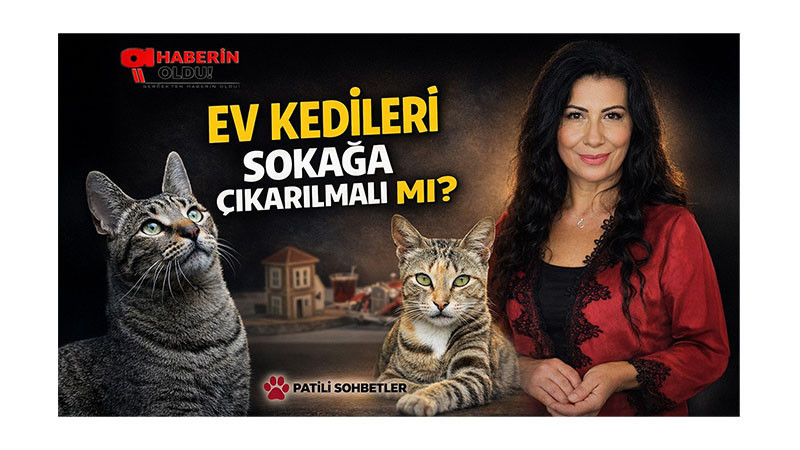 EV KEDİLERİ SOKAĞA ÇIKARILMALI MI?