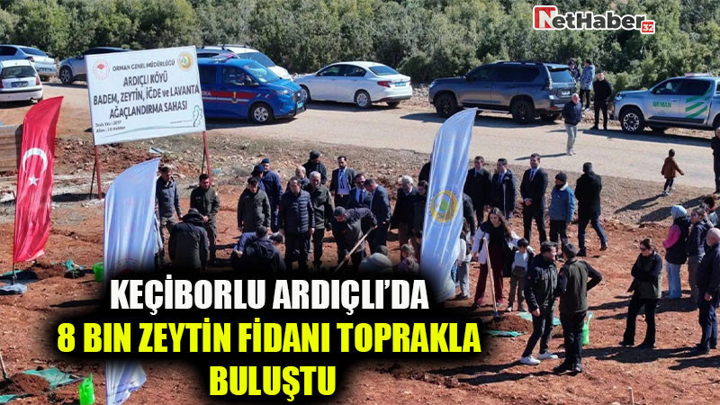 Keçiborlu Ardıçlı’da 8 Bin Zeytin Fidanı Toprakla Buluştu