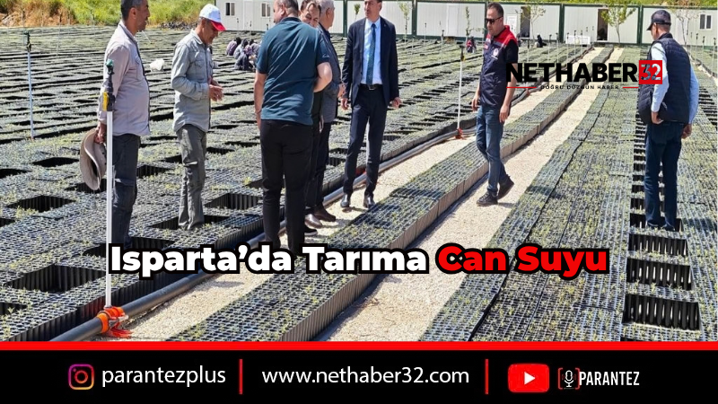 Sütçüler’de Bin Dekar Araziye Can Suyu