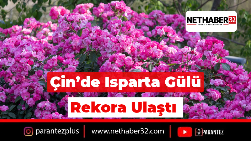 Isparta Gülü Çin’de 100 Milyon İzlenmeye Ulaştı