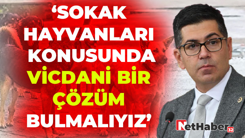 ‘SOKAK HAYVANLARI KONUSUNDA VİCDANİ BİR ÇÖZÜM BULMALIYIZ’