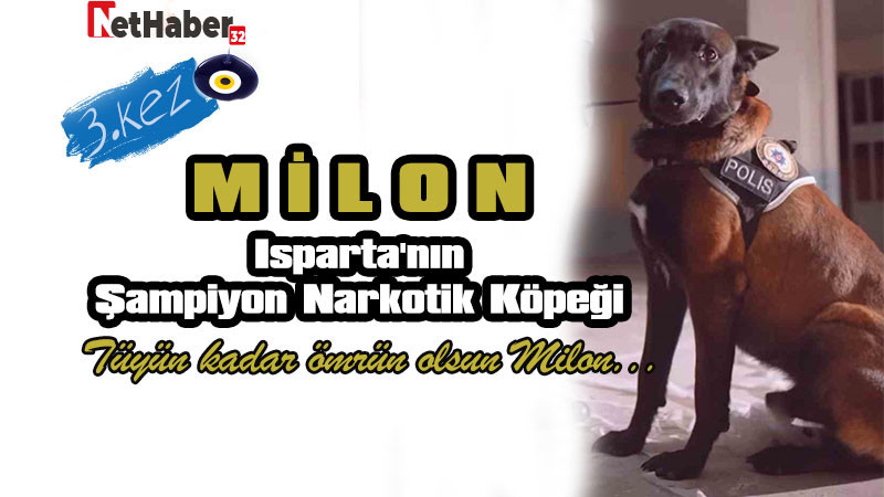 Isparta'nın Şampiyon Narkotik Köpeği