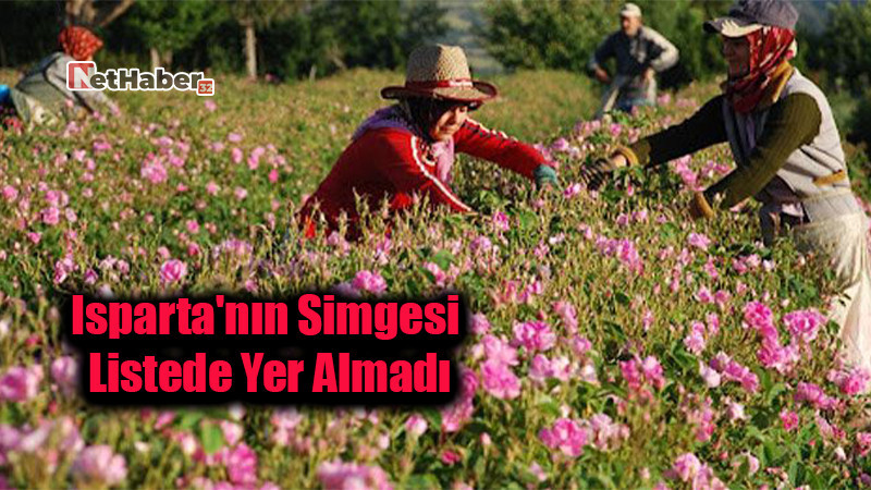 Gül Desteği Neden Yok? Isparta'nın Simgesi Listede Yer Almadı!