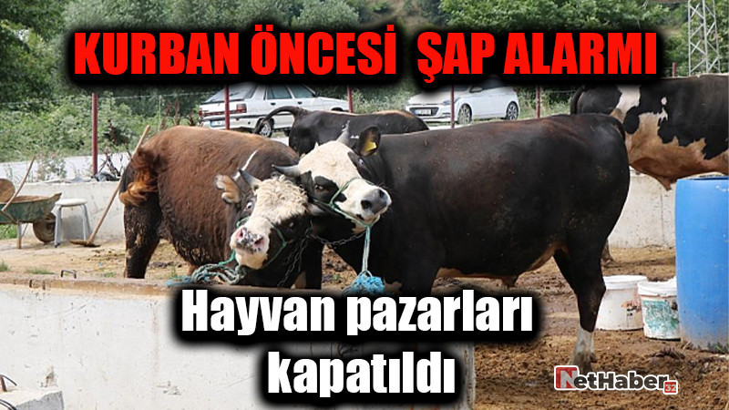 Şarkikaraağaç’ta Şap Alarmı: Hayvan Pazarı Geçici Olarak Kapatıldı