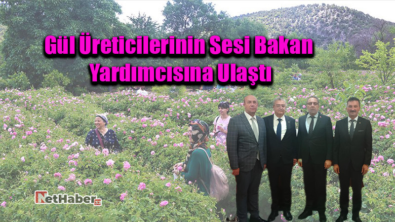 Gül Üreticilerinin Sesi Bakan Yardımcısına Ulaştı