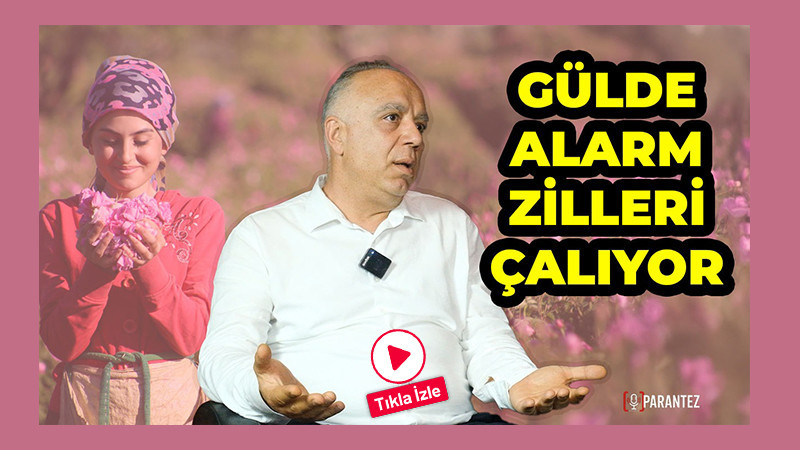 Gülde Alarm Zilleri Çalıyor!