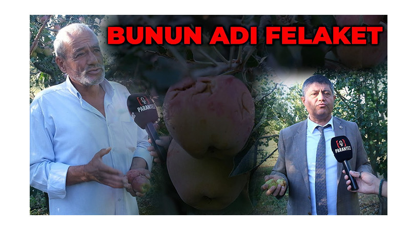 Bunun Adı Felaket: Elma Bahçeleri Doluya Teslim Oldu