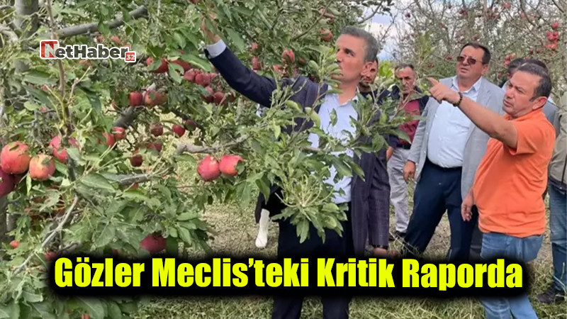 Don Felaketinin Bedeli 20 Milyar TL: Gözler Meclis’teki Kritik Raporda