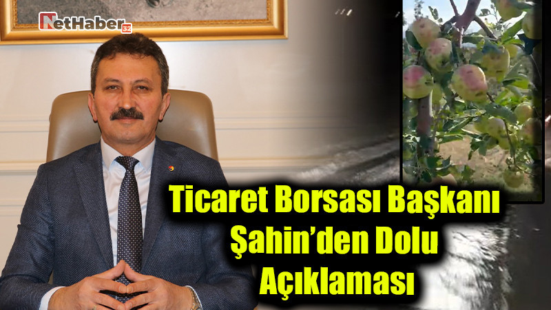Dolu Felaketi Elma Bahçelerini Vurdu: Ticaret Borsası Başkanı Şahin’den Açıklama