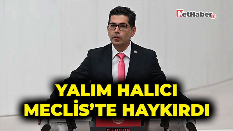 CHP’li Halıcı Meclis’te Haykırdı