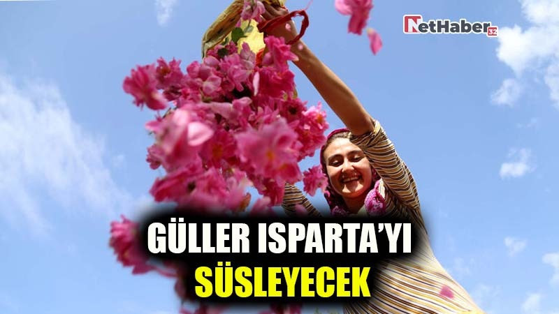 GÜLLER ISPARTA'YI SÜSLEYECEK