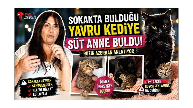 “Öldü” Sanılan Yavru Kedi Hayata Tutundu